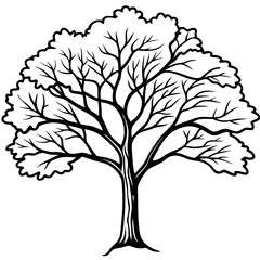 Obraz premium tree image vector 