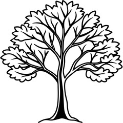 Fototapeta premium tree image vector 