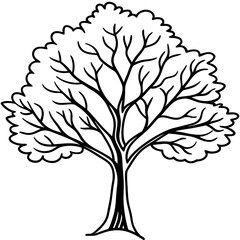 Obraz premium tree image vector 