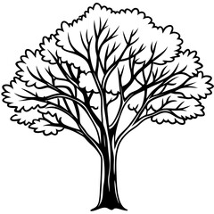 Obraz premium tree image vector 