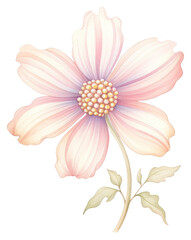 PNG Flower drawing pattern sketch.