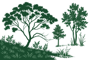 23 Lush green foliage, realistic bush illustrations, varied shrub shapes, detailed vegetation render, isolated plant clusters, vibrant leaf textures, botanical art, white background, digital landscape