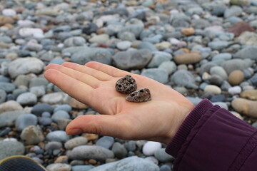 Close up with a palm holding 2 small stones deteriorated by the sea!