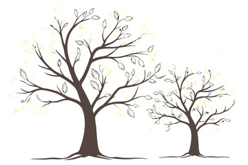 24 Vector illustration, two trees, spring foliage, light green leaves, brown trunks, simple design, white background, botanical art, minimalist style, watercolor effect, nature clipart, seasonal trees