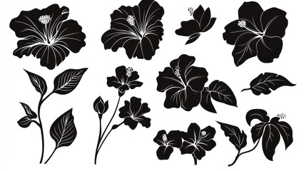 Black hibiscus flower silhouettes, design elements, white background, graphic art, for prints