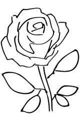 薔薇の線画のイラスト素材　ベクター