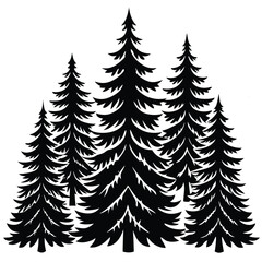 Fototapeta premium Silhouette of Three Evergreen Trees in a Forest