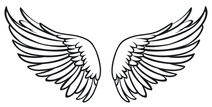 PNG Angel wings doodle white line creativity.