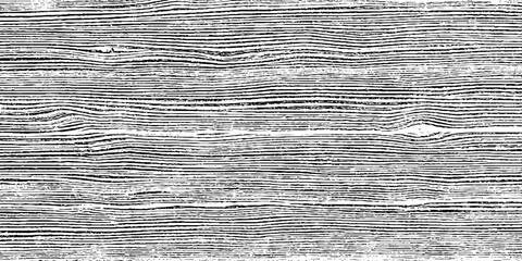 Abstract art on wood vector for card, illustration background, Close-up wooden lines texture. Tree rings. Annual ring. 