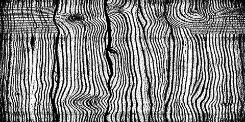 Abstract art on wood vector for card, illustration background, Close-up wooden lines texture. Tree rings. Annual ring.  © Deep Earth 