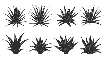 Eight agave plant silhouettes; design elements