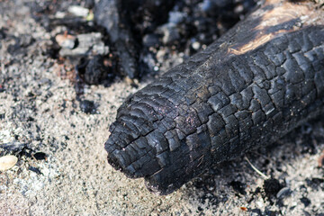 A charred log rests among ash and coal, its darkened surface contrasting with the light gray and black remnants of fire. The texture of the burnt wood adds depth to the scene.
