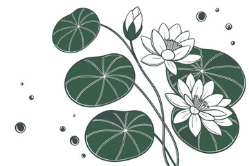 31 Lily pads, circular leaves, aquatic plants, top-down view, botanical illustration, vibrant green, water droplets, minimalist composition, nature study, floating vegetation, clean white background, 