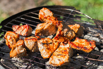 Grilled meat pieces sizzling on a barbecue grate over hot coals, with smoke rising, set against a vibrant green natural outdoor background.

