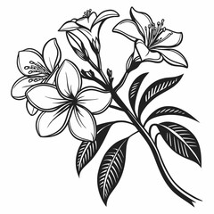 This is a stylized black and white flower illustration, perfect for:

 Tattoo designs
 Stickers or decals
 T-shirt prints
 Laser cutting or engraving patterns