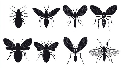 Eight insect silhouettes; illustrations; white background; educational use