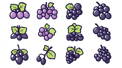 Twelve grape varieties, illustration, food, white background, design