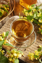 A cup of herbal tea with blooming yellow archangel or golden dead-nettle plant