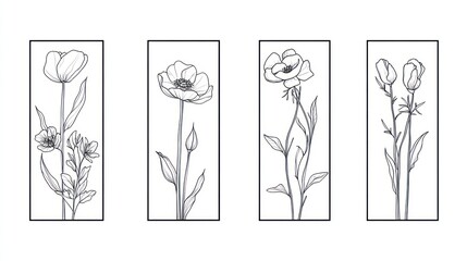 Obraz premium Four floral line art prints; poppies, buds; white background; home decor