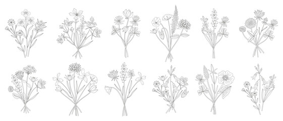 Wildflower line art bouquets set. Different meadow flowers, herbs, and wild plants. Botanical elements for design projects. Minimal style, contour. Vector illustration