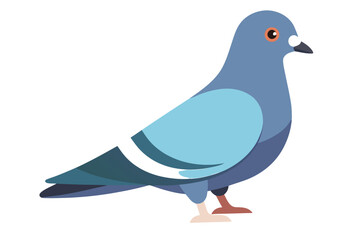 vector illustration of a pigeon