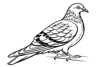 dove of peace