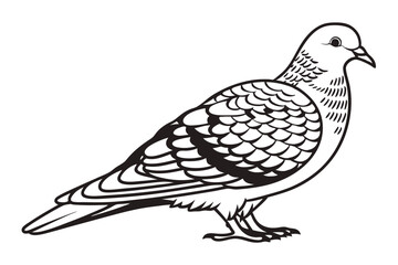 dove of peace