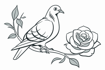 dove with rose