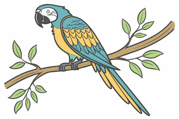 blue and yellow macaw