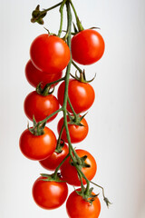 Fresh Cherry Tomatoes on the Vine – Healthy Organic Snack on White Background