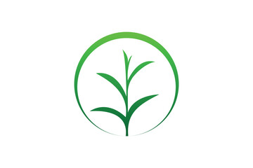 Fototapeta premium leaf nature logo vector template