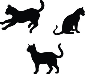 cats silhouette in different poses. Hand drawn black cats isolated on white and vector background.