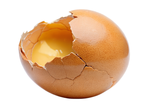 broken egg isolated on white