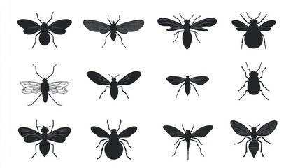Twelve insect silhouettes, isolated, white background, educational resource