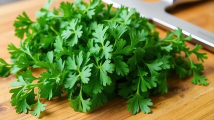 bunch of fresh parsley on wooden table