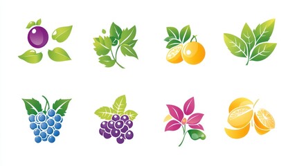 Colorful fruit icons; design elements;  white background; website graphics