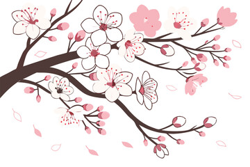 53 Flowering trees, cherry blossoms, pink and white petals, delicate branches, spring bloom, botanical illustration, watercolor style, vector art, clean white background, decorative floral design, sea