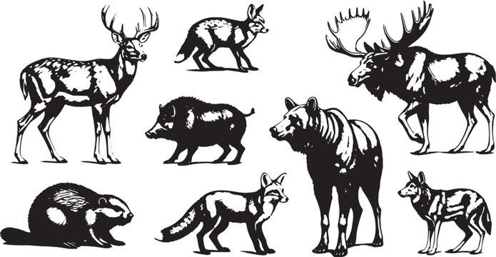 Collection of Wild Animal Silhouettes Featuring Diverse Species