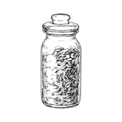 Vector hand-drawn illustration of a glass jar with green tea. Black and white sketch of herbal drink.
