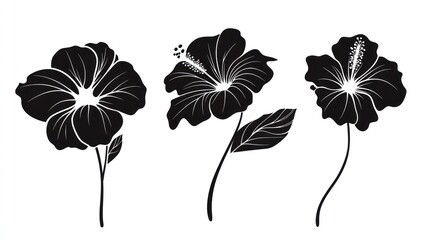 Black hibiscus flower silhouettes, tropical design, white background, print