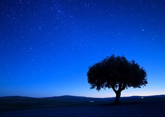 Starry Night, Lonely Tree, Fields