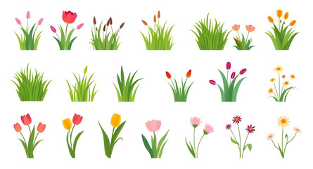 spring flowers and grass set