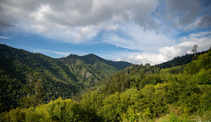 A Beautiful and Lush Mountain Landscape Set Against Dramatic and EyeCatching Skies