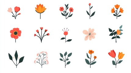 Colorful floral illustrations; spring bouquet; white background; design elements