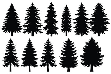 Obraz premium Evergreen Tree Silhouettes Assortment of Coniferous Trees, Forest Plants, Nature Elements