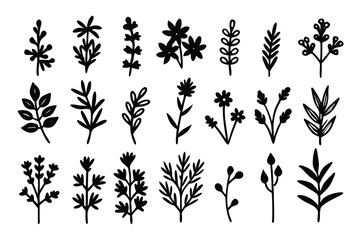 Hand Drawn Floral Silhouettes Collection on White Background. Botanical Elements