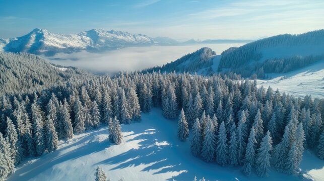 Aerial view above snow-covered tree forest and beautiful mountain landscape on a clear winter day - Powered by Adobe