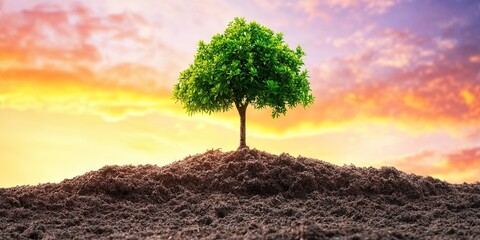 arbor day concept for the environmental themed holiday