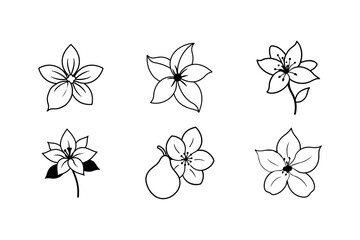 Obraz premium Lemon Orange Pear Blossom Floral Vector Design