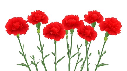 Obraz premium Red Carnations Bouquet with White Background.